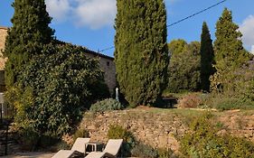 Celler Colltor